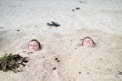 Coral Beach