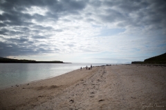 Coral Beach