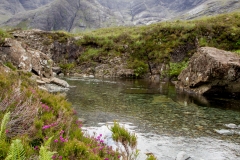 Fairy pool